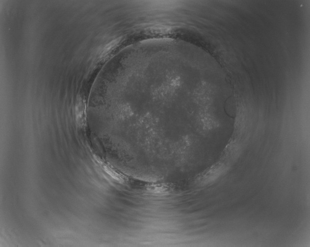 X0000078020624200611031457