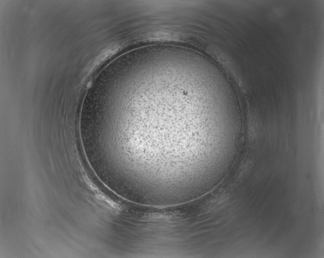 X0000078020625200611031457