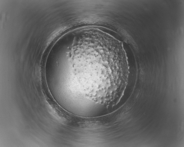 X0000078020626200611031457