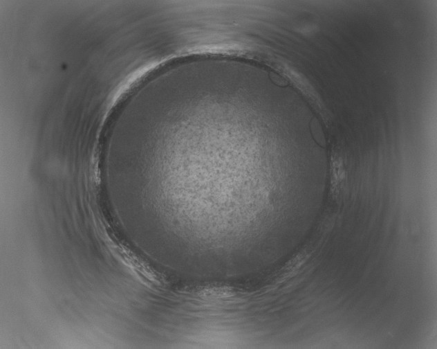 X0000078020628200611031457