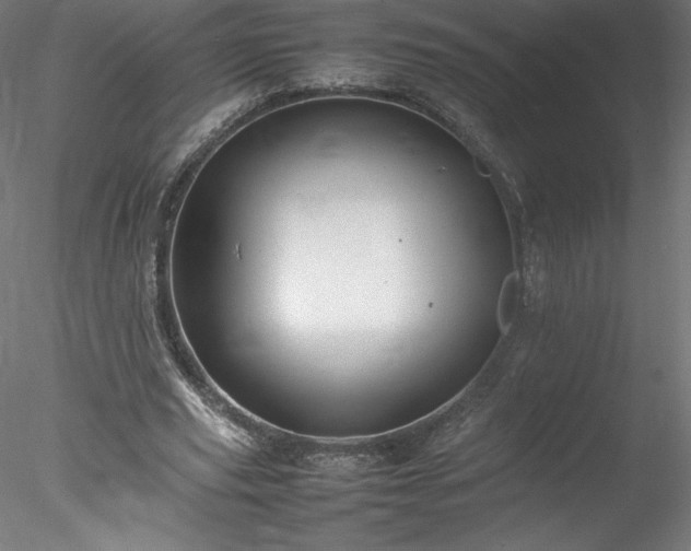 X0000078020629200611031457