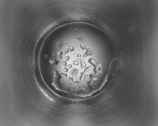 X0000078020630200611031457