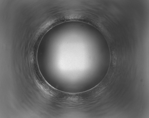 X0000078020631200611031457