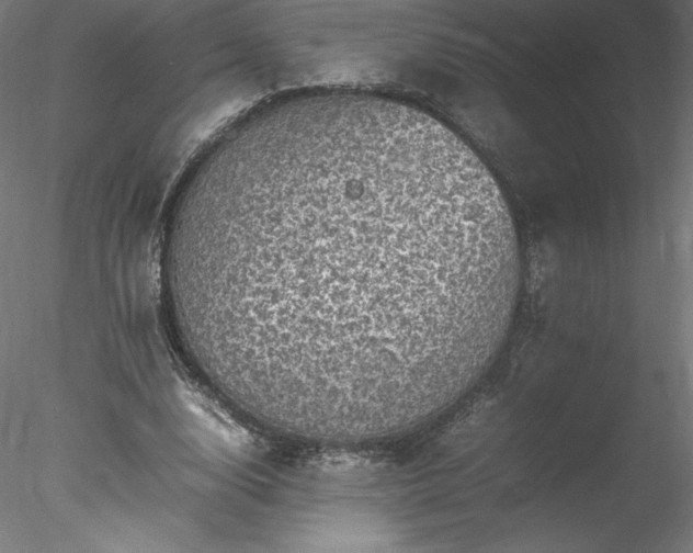 X0000078020632200611031457