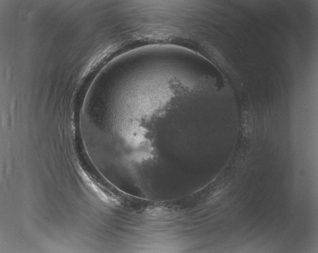 X0000078020634200611031457