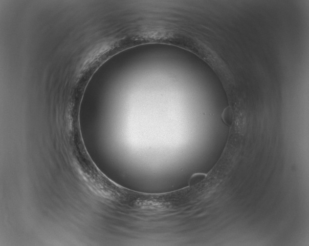 X0000078020635200611031457