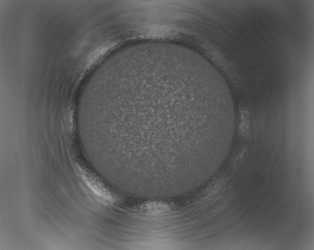 X0000078020636200611031457