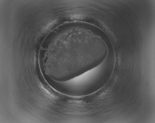 X0000078020637200611031457