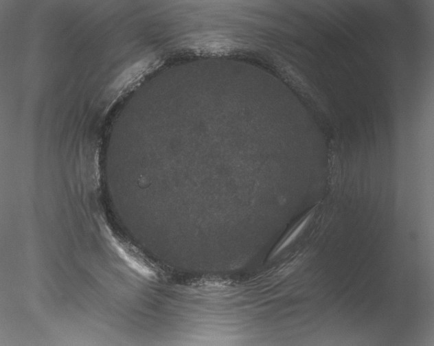 X0000078020638200611031457