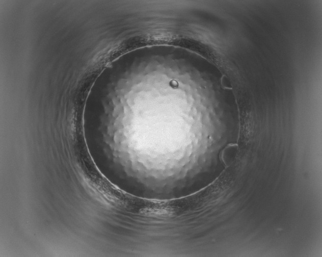 X0000078020639200611031457