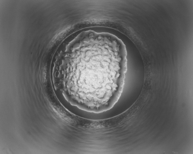 X0000078020640200611031457