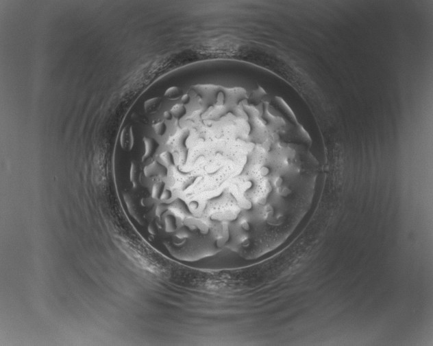 X0000078020641200611031457