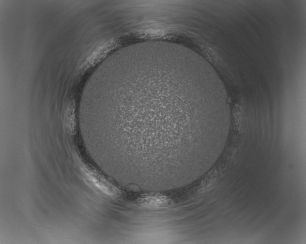 X0000078020642200611031457