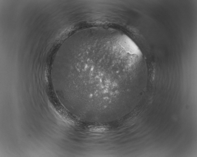 X0000078020643200611031457