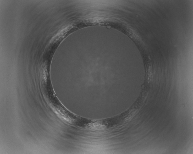 X0000078020644200611031457