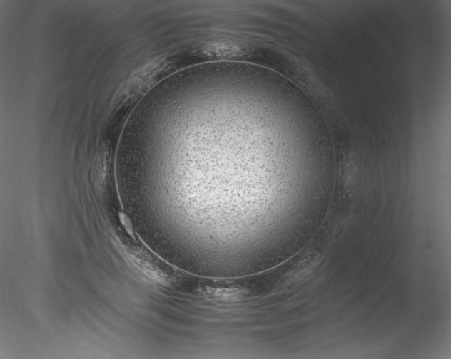 X0000078020645200611031457