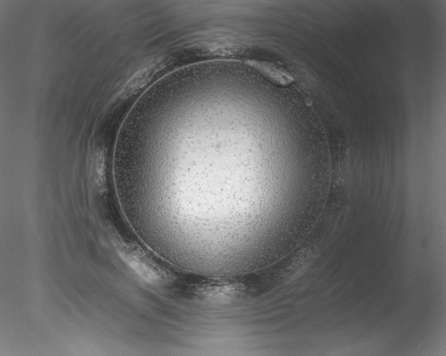 X0000078020646200611031457