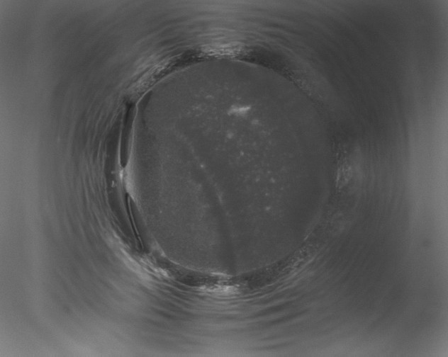 X0000078020647200611031457