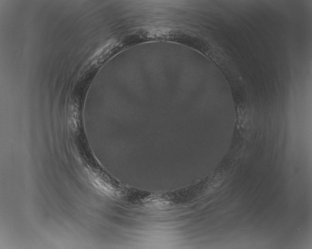 X0000078020648200611031457