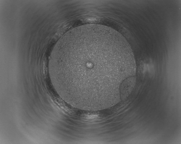 X0000078020651200611031457