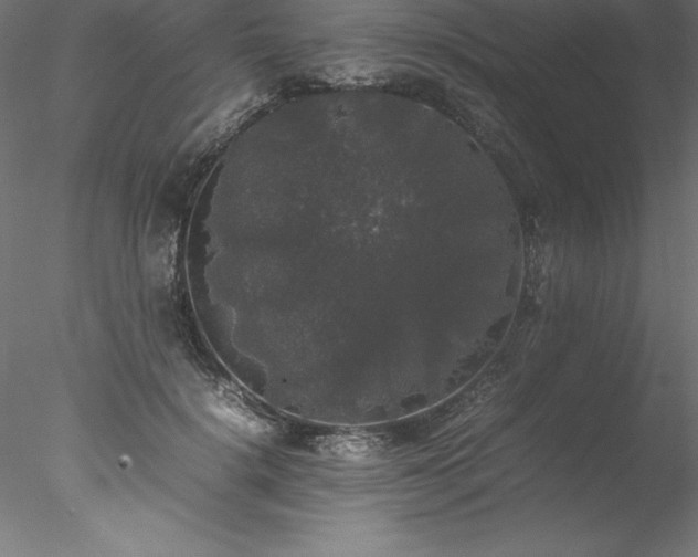 X0000078020652200611031457