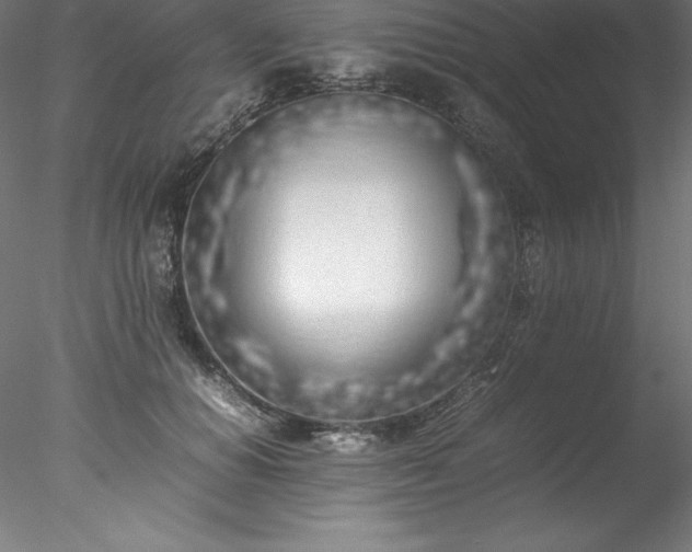 X0000078020654200611031457