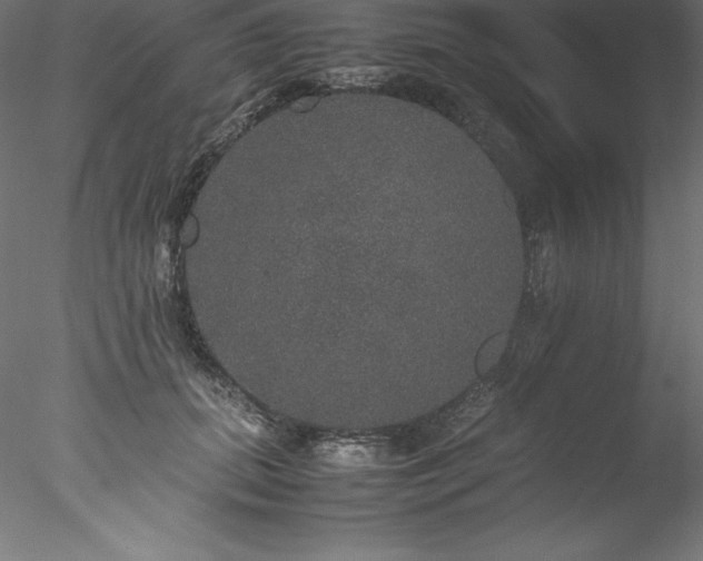 X0000078020655200611031457