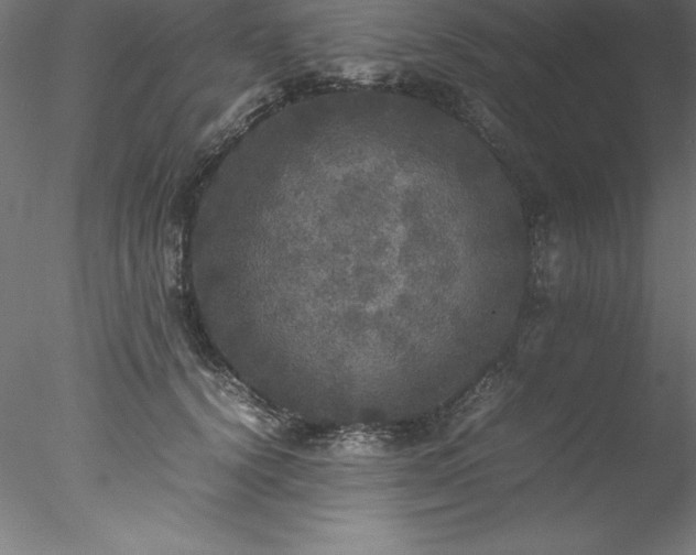 X0000078020656200611031457