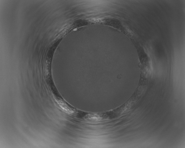 X0000078020658200611031457