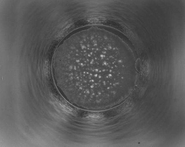 X0000078020659200611031457