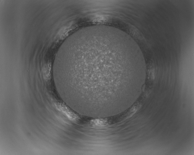 X0000078020660200611031457