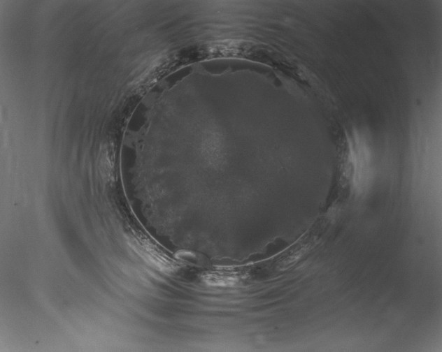 X0000078020661200611031457