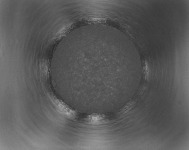 X0000078020662200611031457