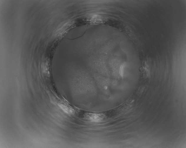 X0000078020663200611031457