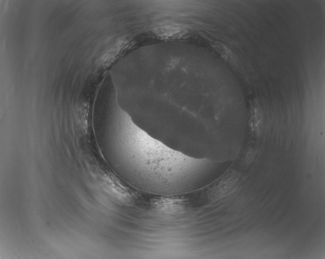 X0000078020664200611031457