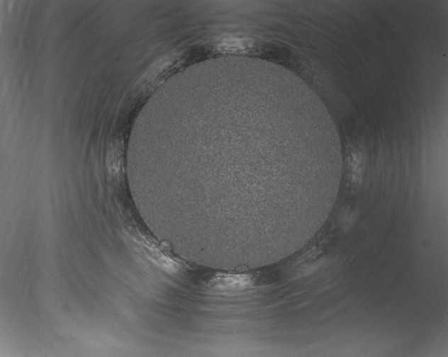 X0000078020665200611031457