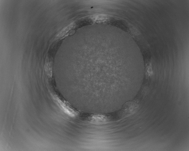 X0000078020666200611031457