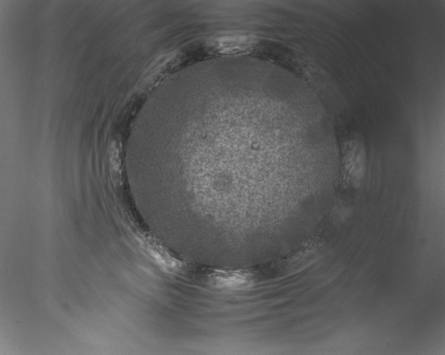 X0000078020667200611031457