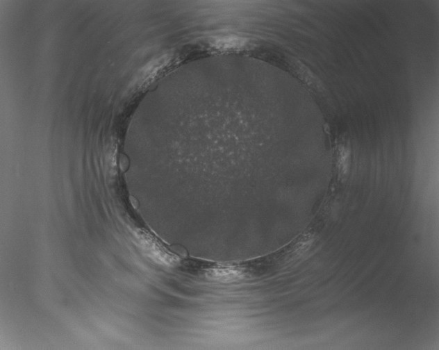 X0000078020668200611031457