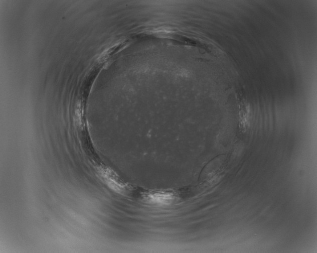 X0000078020669200611031457