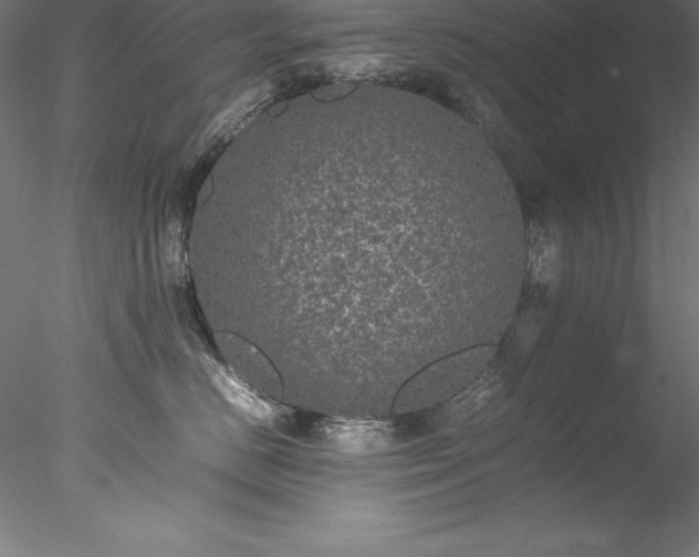 X0000078020670200611031457