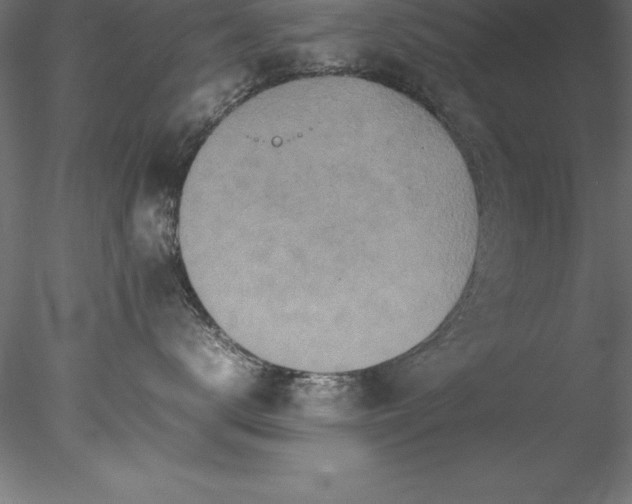 X0000078020672200611031457