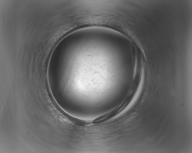 X0000078020673200611031457