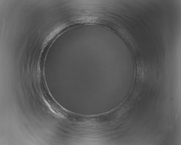 X0000078020674200611031457