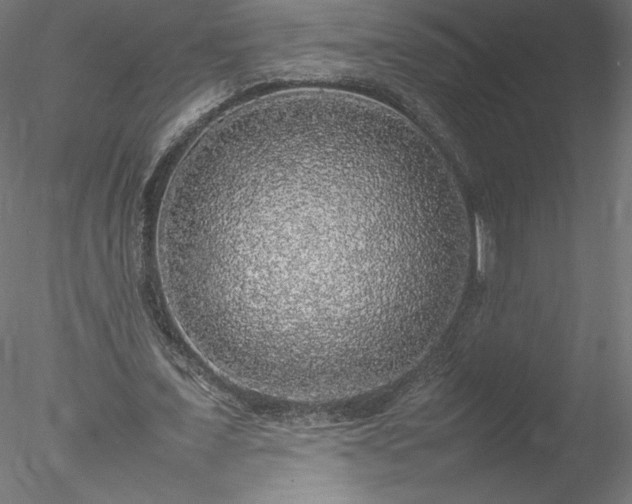 X0000078020675200611031457