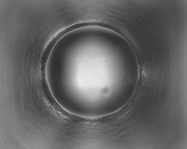 X0000078020676200611031457