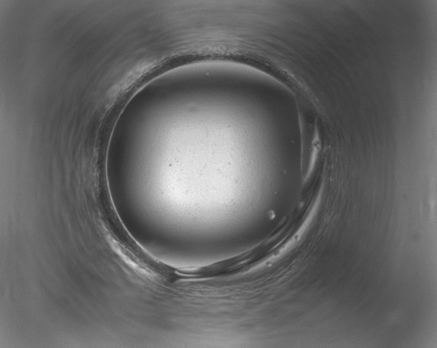 X0000078020677200611031457