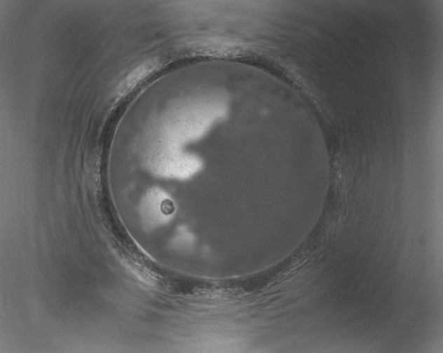 X0000078020679200611031457