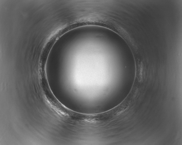 X0000078020680200611031457