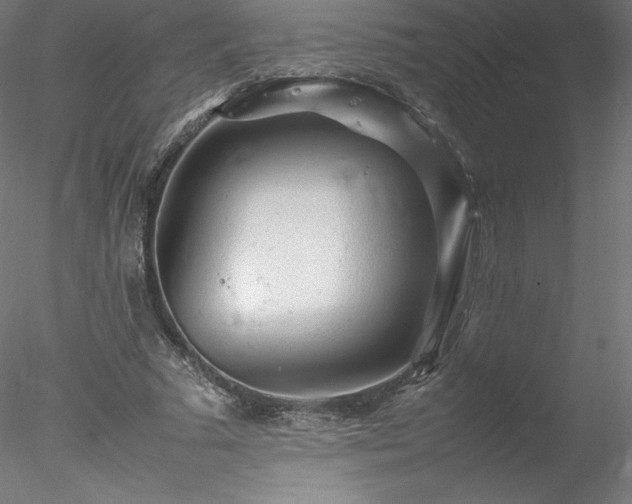 X0000078020681200611031456